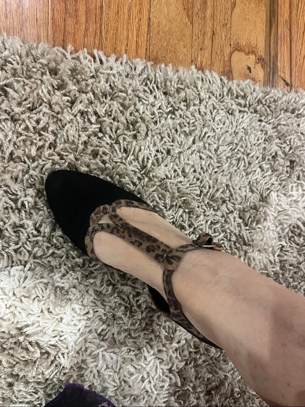 Impo Black Suede Pointed-Toe Heels with Leopard Trim